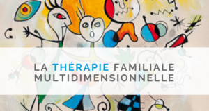 image principale de l'article colloque thérapie familiale multidimensionnelle, à Paris le 13 décembre 2017