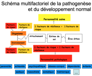 Image du schéma "multifactoriel de la pathogenèse et du développement normal", créé par G. Delisle, du CIG de Montréal. Image figurant sur l'article "Le développement psycho-affectif"