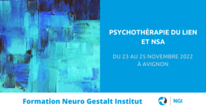 La formation PDL & NSA (Psychothérapie Du Lien et NeuroSciences Affectives), créée et animée par Neuro Gestalt Institut, se déroulera du 23 au 25 novembre 2022 à Avignon.